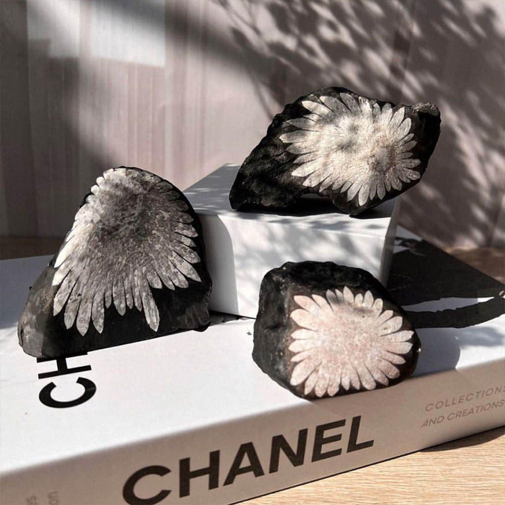 天然石】菊花石（きくかせき） 原石 約100〜150g｜風水・浄化